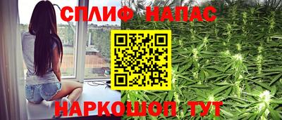 гидра Гусь-Хрустальный