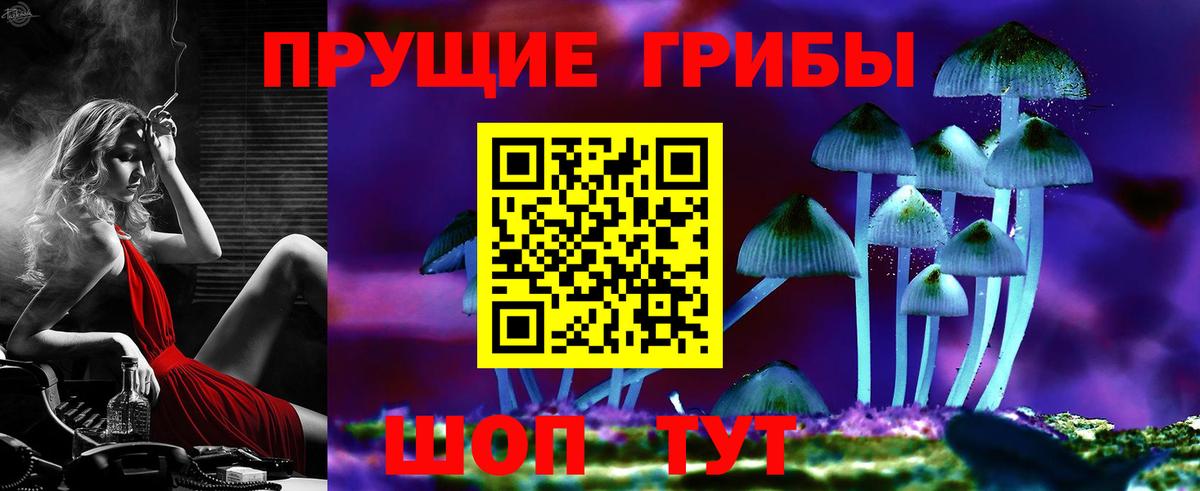 Псилоцибиновые грибы Magic Shrooms  Псилоцибиновые грибы MAGIC MUSHROOMS  Вход с VPN  Вологда 