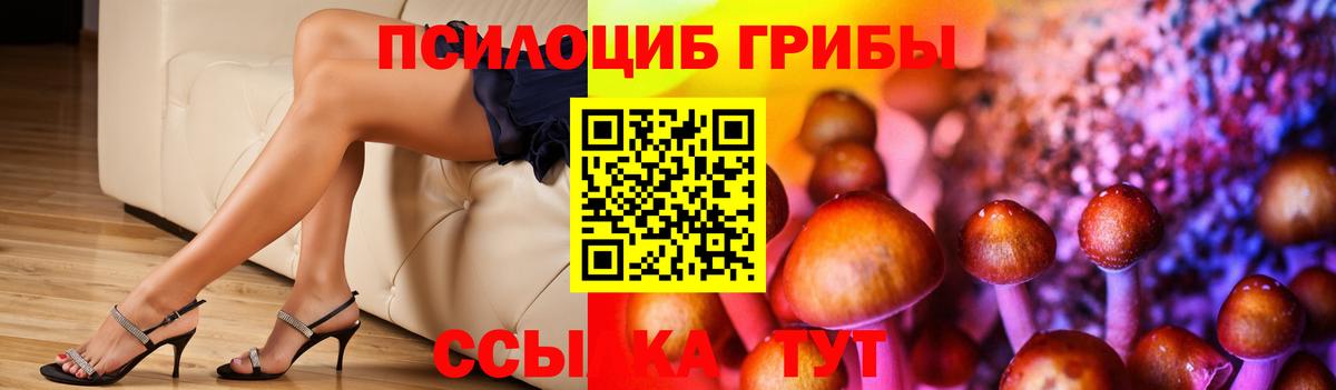 Псилоцибиновые грибы Magic Shrooms Вологда